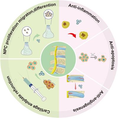 Unlocking the potential of exosomes: a breakthrough in the theranosis of degenerative orthopaedic diseases